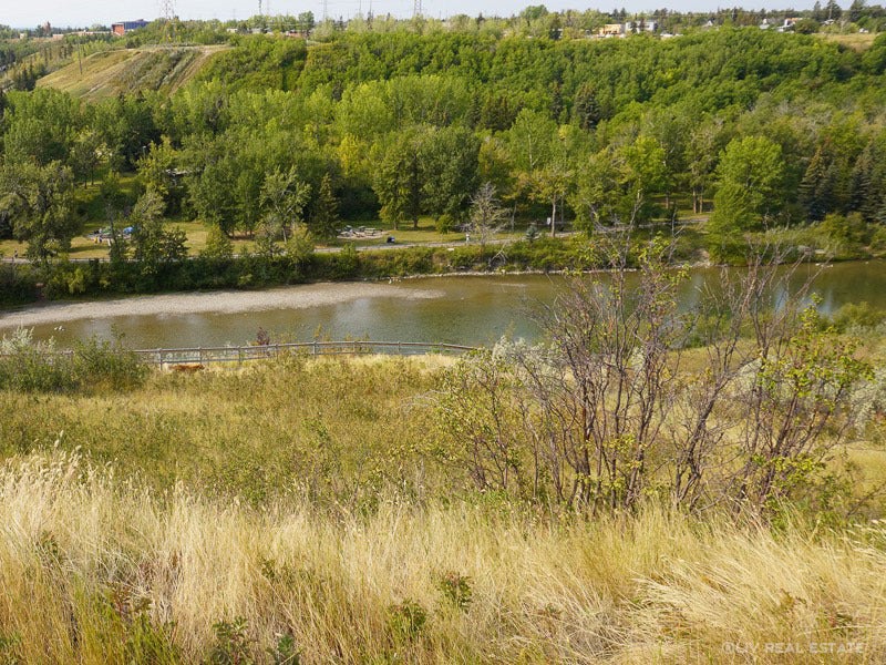 Elboya Homes for Sale in City Centre Calgary Liv Real Estate® Listings